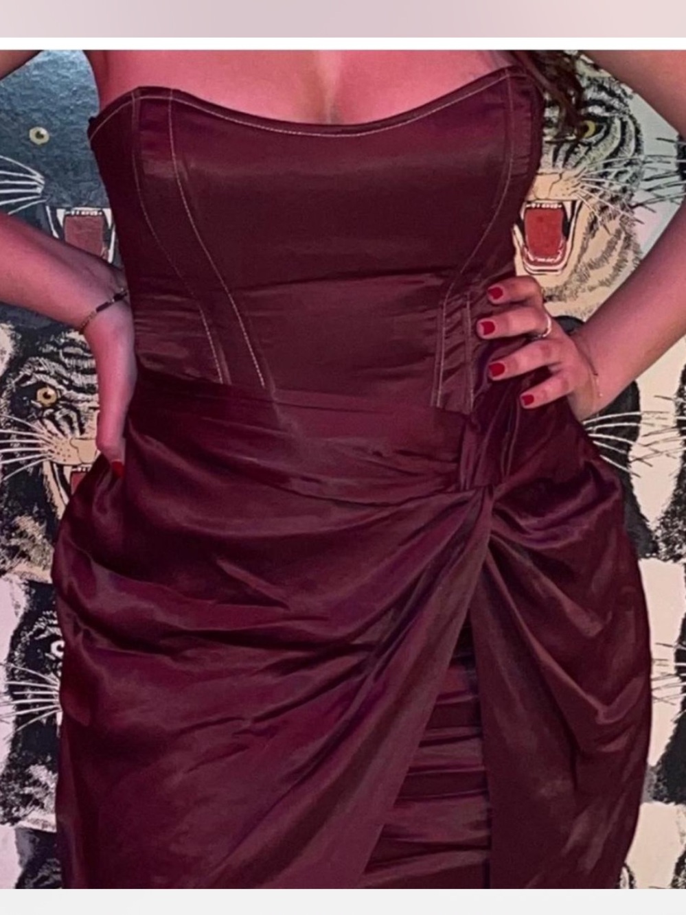 Zara Strapless Brown Satin corset Mini Dress